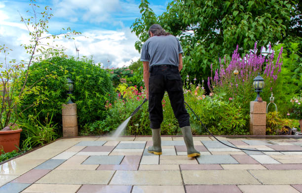 Best Sidewalk and Walkway Cleaning  in West Livingston, TX