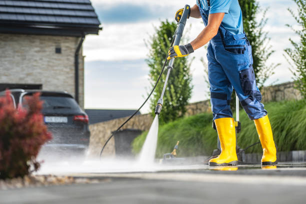 Best Driveway Pressure Washing  in West Livingston, TX